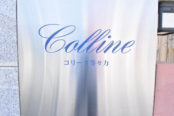 コリーヌ等々力の写真 8枚目