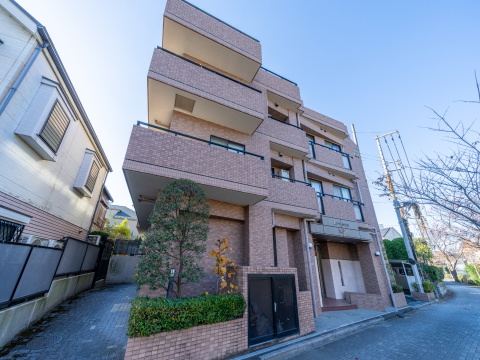 藤和シティホームズ深沢の写真 13枚目