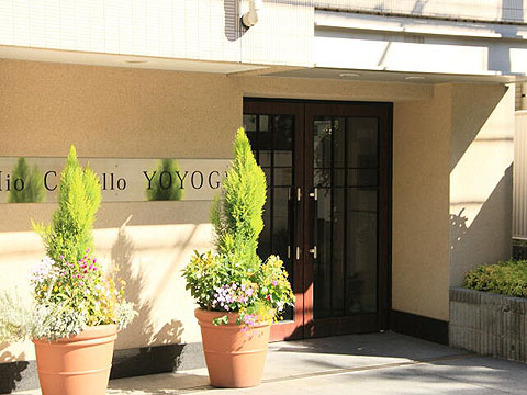 ミオカステーロ代々木の写真 14枚目