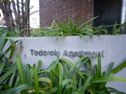 等々力アパートメントの写真 7枚目