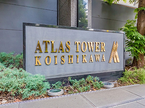 アトラスタワー小石川の写真 19枚目