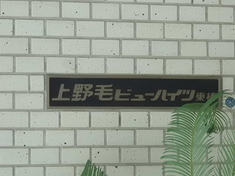 上野毛ビューハイツ東棟の写真 6枚目