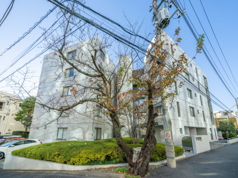 パセオ二子玉川の写真 11枚目