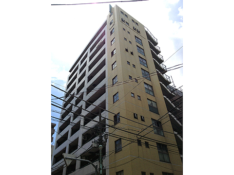 エクセルシオール日本橋の写真 15枚目