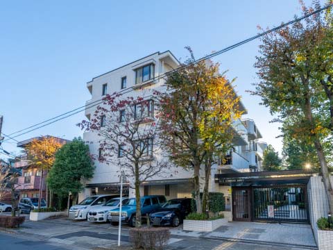 東急ドエルアルス上野毛アネックスの写真 11枚目