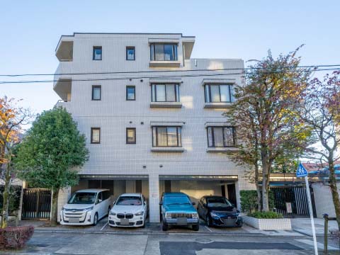 東急ドエルアルス上野毛アネックスの写真 13枚目