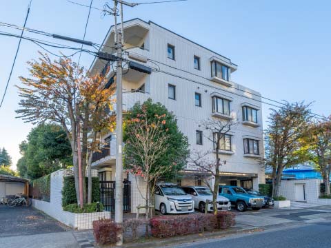 東急ドエルアルス上野毛アネックスの写真 14枚目