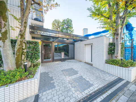 東急ドエルアルス上野毛アネックスの写真 16枚目