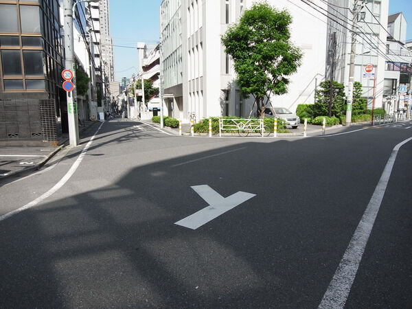 日興パレス南平台アヅマの写真 5枚目