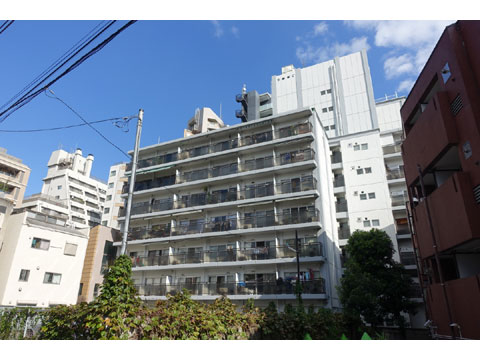 メゾン麻布の写真 14枚目