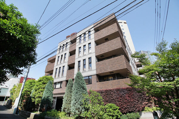ザ・ドチェスター南青山の外観写真 - 東京都心の高級マンション
