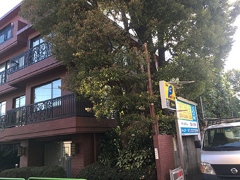 ドムス南麻布西館の写真 3枚目