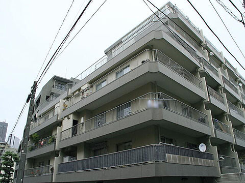 協栄メゾン代々木の写真 13枚目