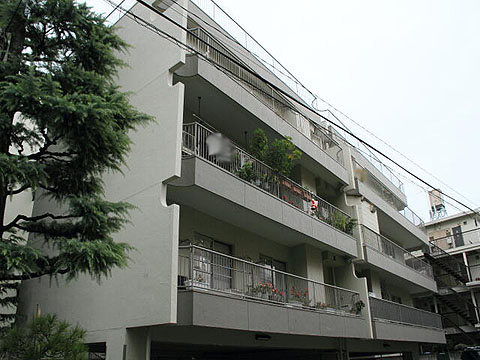 協栄メゾン代々木の写真 14枚目