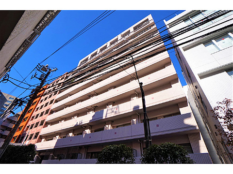 秀和溜池山王レジデンスの写真 13枚目