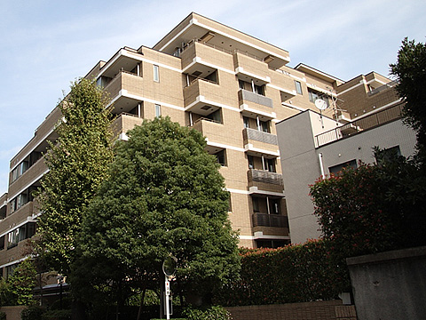 クリスタルコート鳥居坂の写真 4枚目