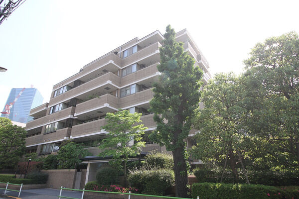 クリスタルコート鳥居坂の写真 5枚目