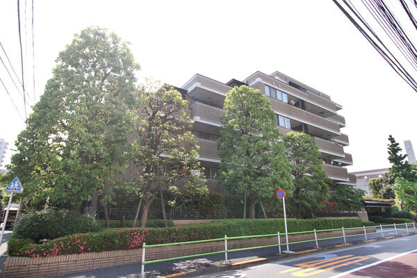 クリスタルコート鳥居坂の写真 8枚目