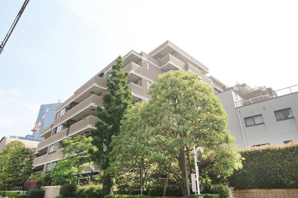 クリスタルコート鳥居坂の写真 10枚目