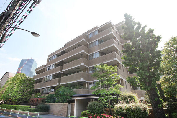 クリスタルコート鳥居坂の写真 11枚目