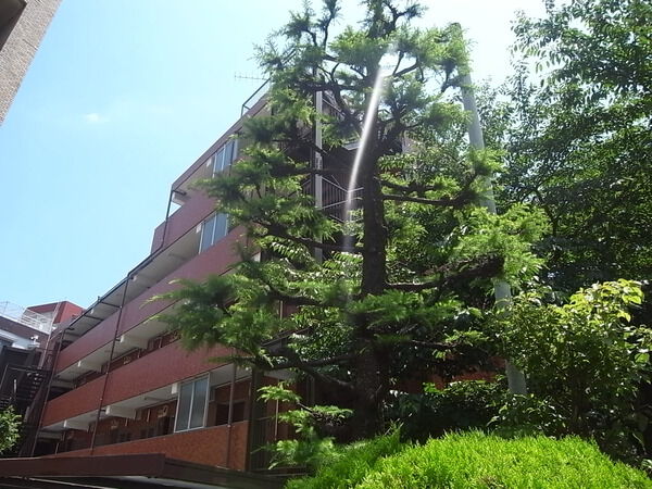 シャンボール二子玉川園の写真 8枚目