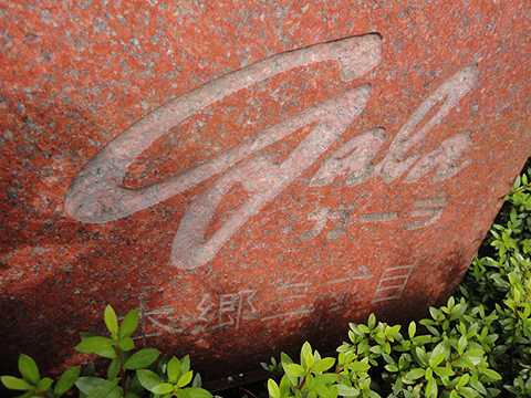 ガーラ本郷三丁目の写真 12枚目