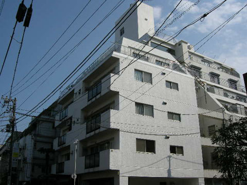 自由が丘パインクレストの写真 11枚目