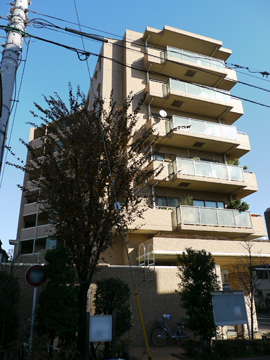 ルナコート等々力の写真 14枚目