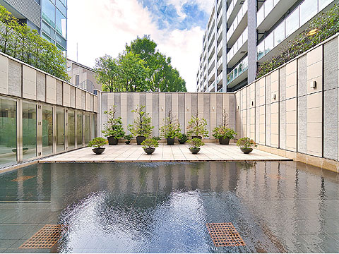 パークコート神宮前の写真 11枚目