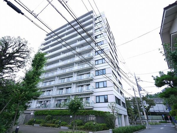 ブリリア砧公園の外観写真 - 東京都心の高級マンション