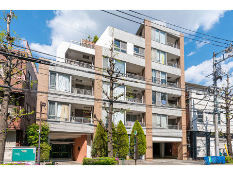 ジェイパーク小石川の写真 11枚目