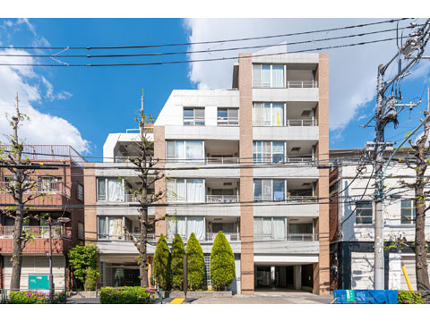 ジェイパーク小石川の写真 19枚目