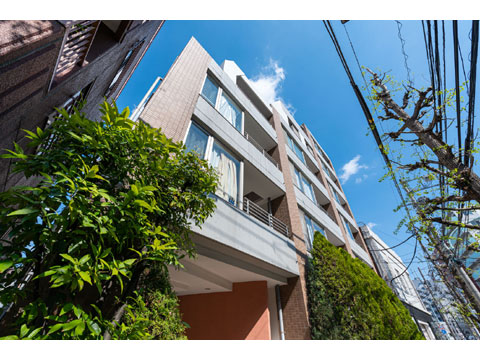 ジェイパーク小石川の写真 20枚目