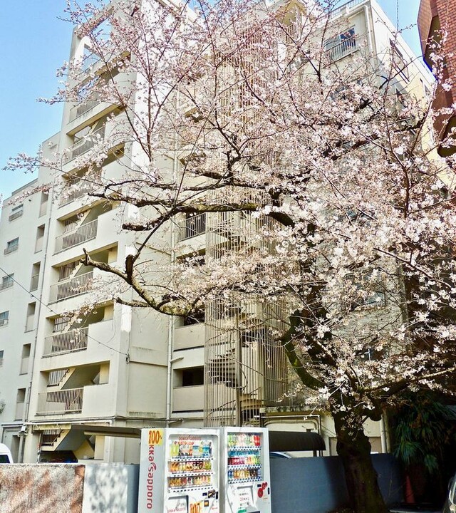 メゾンドール代々木の写真 10枚目