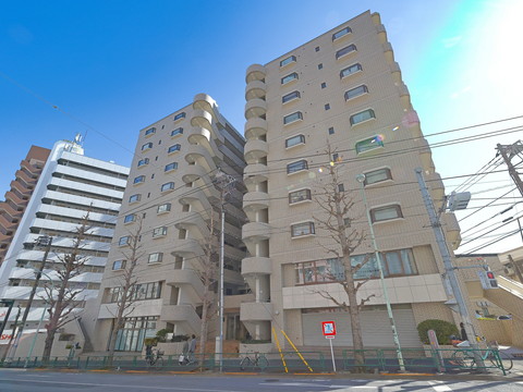 メゾンブロンシュ本駒込の写真 13枚目