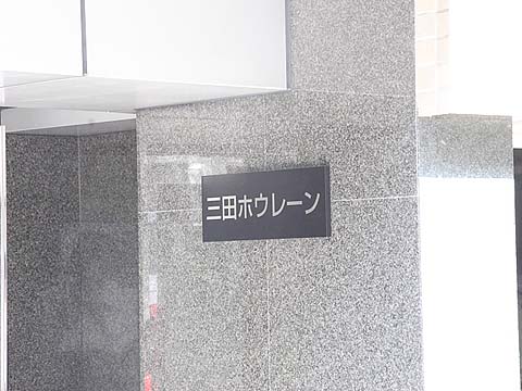 三田ホウレーンの写真 15枚目