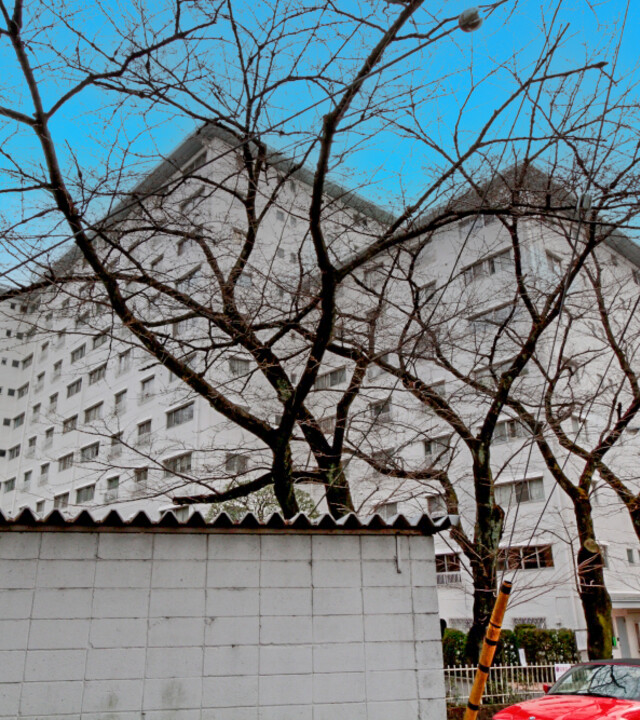 ガーデンハウスの写真 5枚目