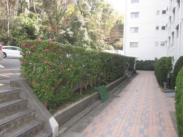 ガーデンハウスの写真 6枚目