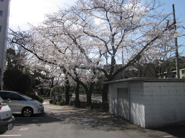 ガーデンハウスの写真 7枚目