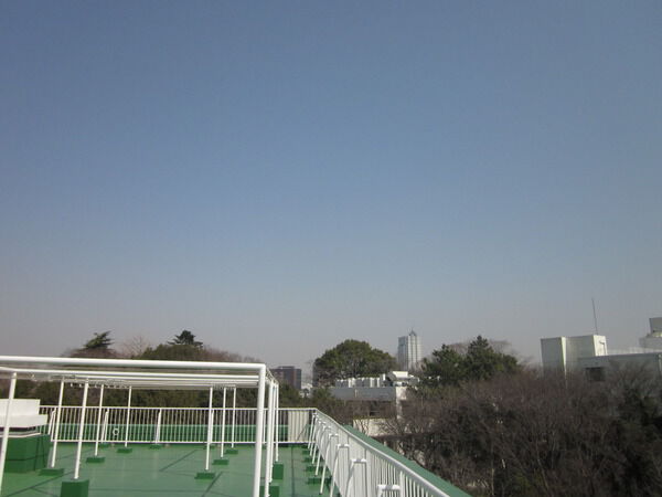 ガーデンハウスの写真 10枚目