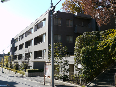 等々力ガーデンハイムの写真 13枚目