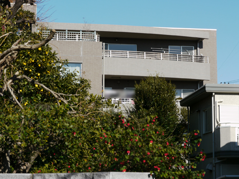 等々力ガーデンハイムの写真 15枚目