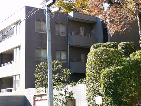 等々力ガーデンハイムの写真 16枚目