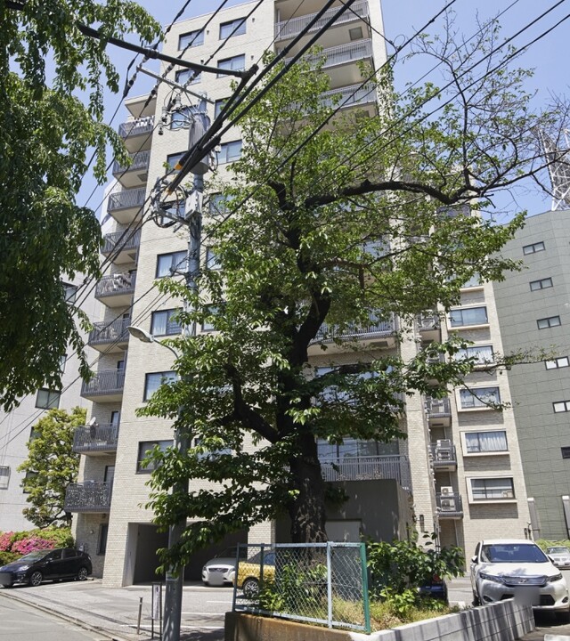 南青山パークマンションの写真 4枚目