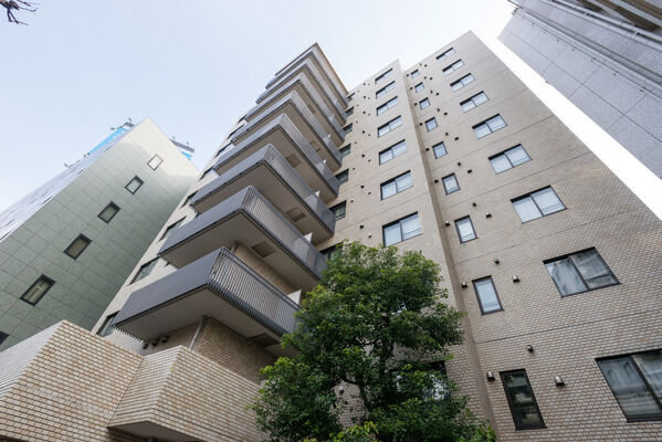 南青山パークマンションの写真 7枚目