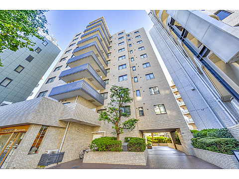 南青山パークマンションの写真 13枚目