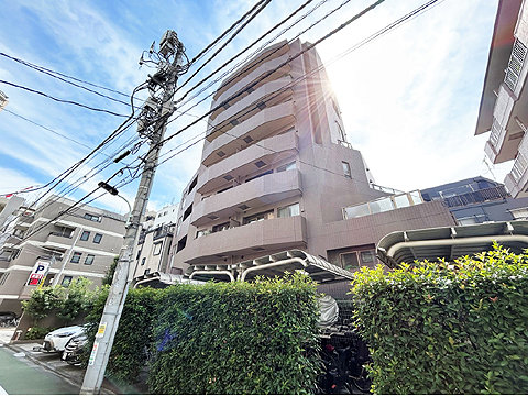 ルピナス麻布シティフォルムの写真 8枚目