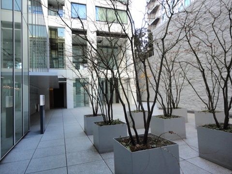 虎ノ門タワーズレジデンスの写真 11枚目