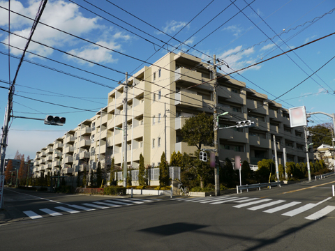 サウススクエアの写真 17枚目