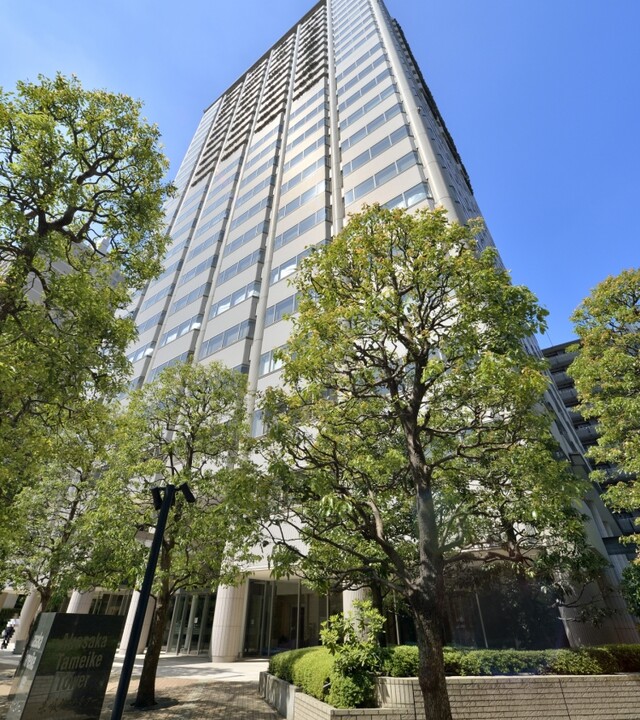 赤坂溜池タワーレジデンスの写真 10枚目